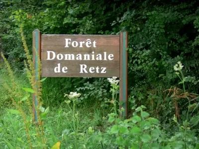 Foret retz 22237